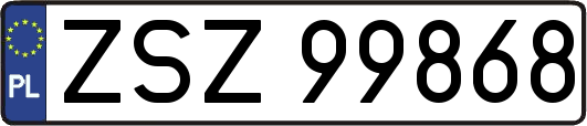 ZSZ99868