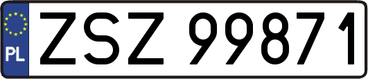 ZSZ99871