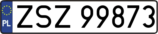 ZSZ99873