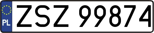 ZSZ99874