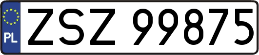 ZSZ99875