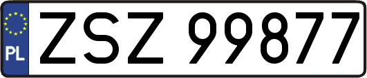 ZSZ99877
