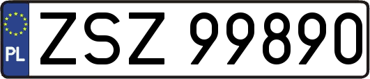 ZSZ99890