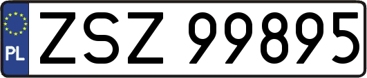 ZSZ99895