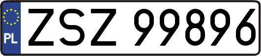 ZSZ99896