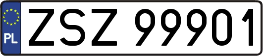 ZSZ99901