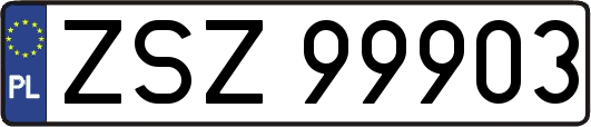 ZSZ99903