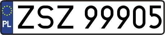 ZSZ99905