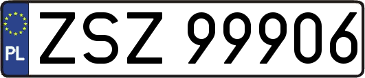 ZSZ99906