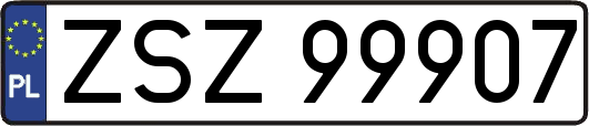 ZSZ99907