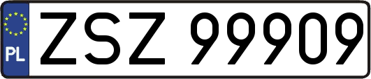 ZSZ99909