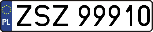 ZSZ99910