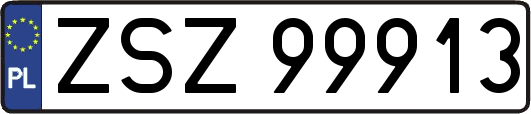 ZSZ99913
