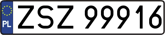 ZSZ99916