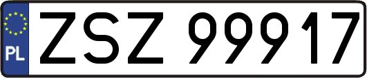 ZSZ99917