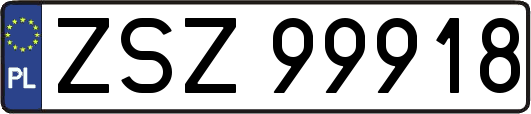 ZSZ99918