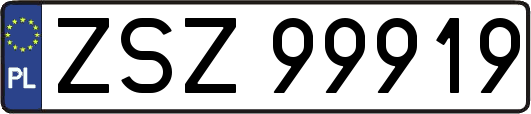 ZSZ99919