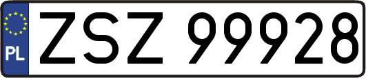 ZSZ99928
