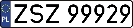 ZSZ99929