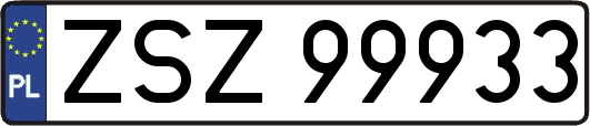 ZSZ99933
