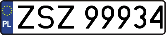 ZSZ99934