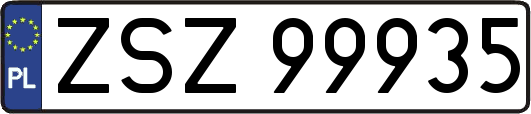 ZSZ99935