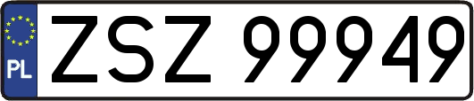 ZSZ99949