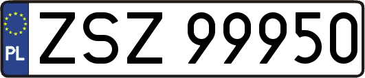 ZSZ99950
