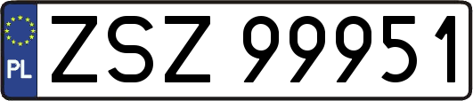 ZSZ99951