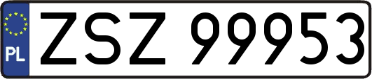 ZSZ99953