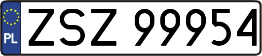 ZSZ99954