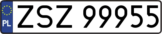 ZSZ99955