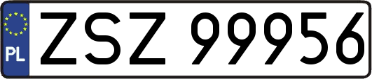 ZSZ99956