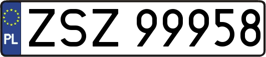 ZSZ99958