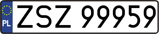 ZSZ99959