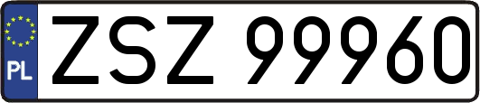 ZSZ99960