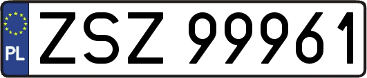 ZSZ99961