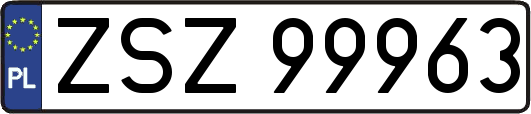 ZSZ99963