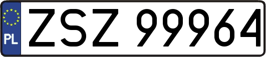 ZSZ99964