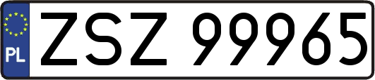 ZSZ99965