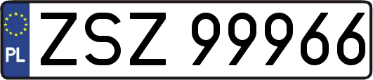 ZSZ99966
