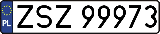 ZSZ99973