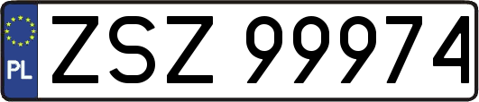 ZSZ99974