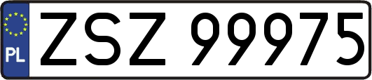 ZSZ99975