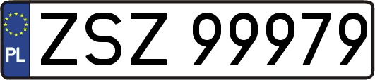 ZSZ99979