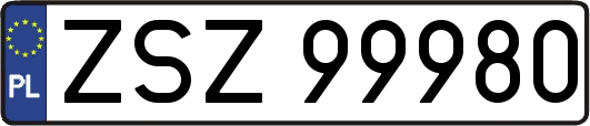ZSZ99980