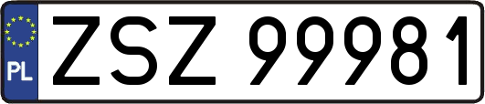 ZSZ99981