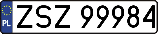 ZSZ99984