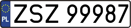 ZSZ99987
