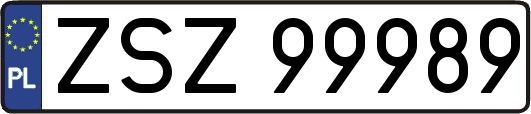 ZSZ99989